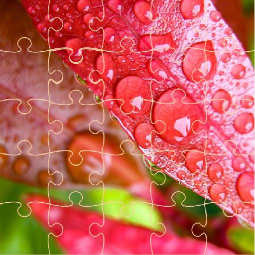 Jigsaw Puzzles