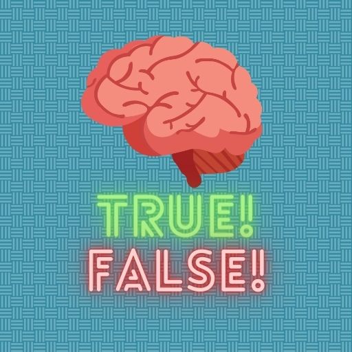 True or false quiz