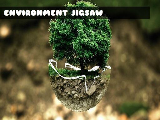 Environment Jigsaw