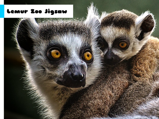 Lemur Zoo Jigsaw